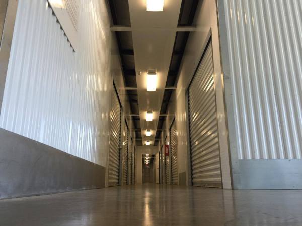 Friday Fictioneers – The Vaults | Neil MacDonald Author